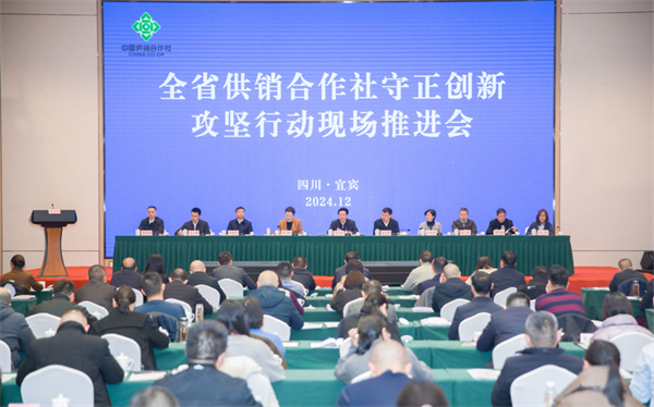 四川省供銷社“守正創(chuàng)新”攻堅行動現(xiàn)場推進(jìn)會在宜賓市召開